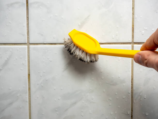 Best Mold Damage Repair  in Roosevelt Gardens, FL