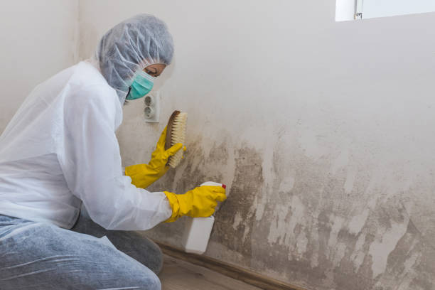 Water Damage Restoration in Roosevelt Gardens, FL