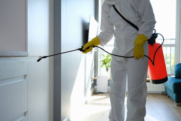 Certified Mold Removal in Roosevelt Gardens, FL